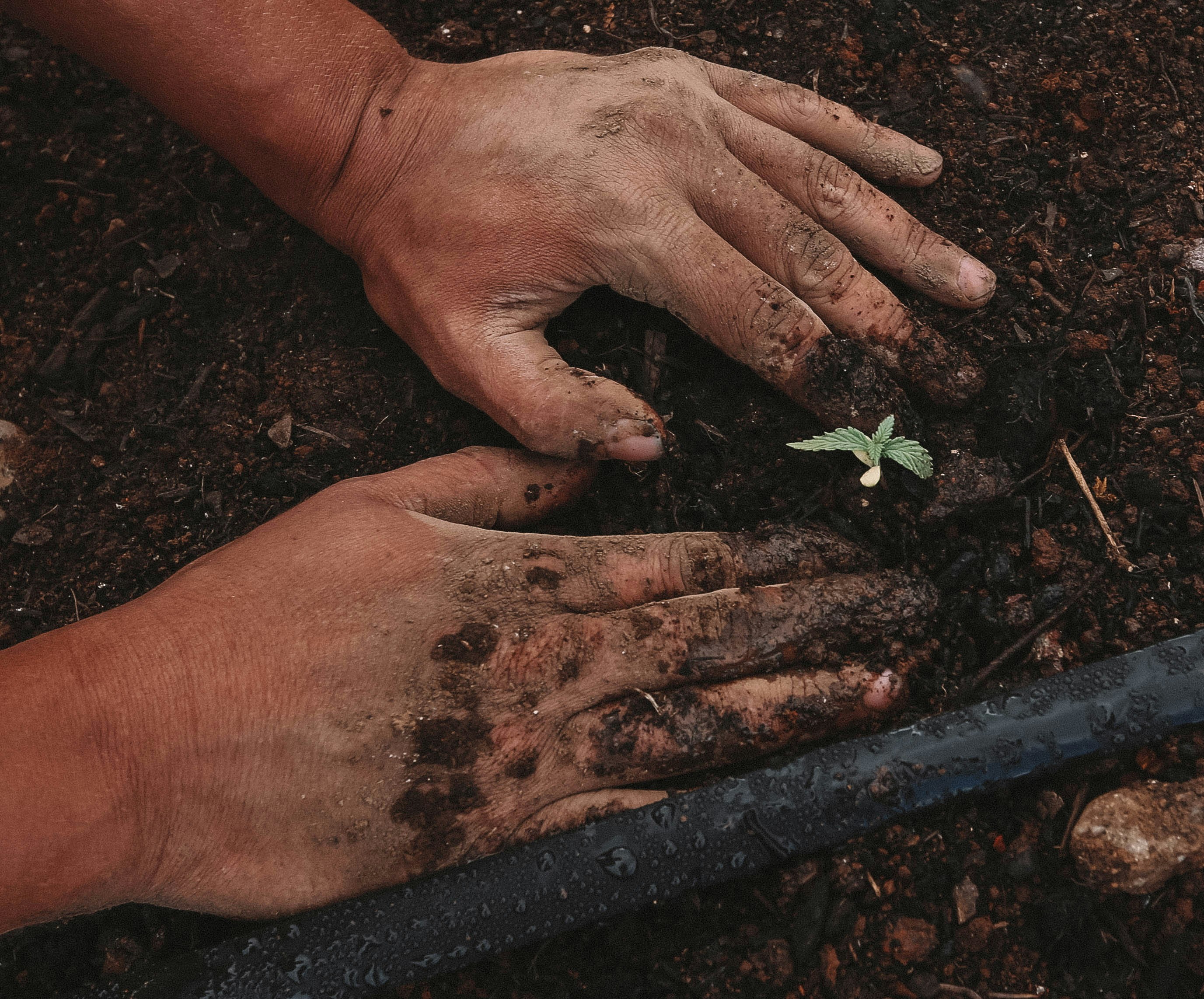 Be a Farmer like “Old McForbes” and “Mr. Green Jeans” Bon Jovi and Reap the Tax Benefits