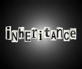 Son Sues Mom for His Inheritance