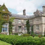 A $29 Million Estate, a Forgotten Will, and One Messy Legal Battle—Here’s What You Can Learn